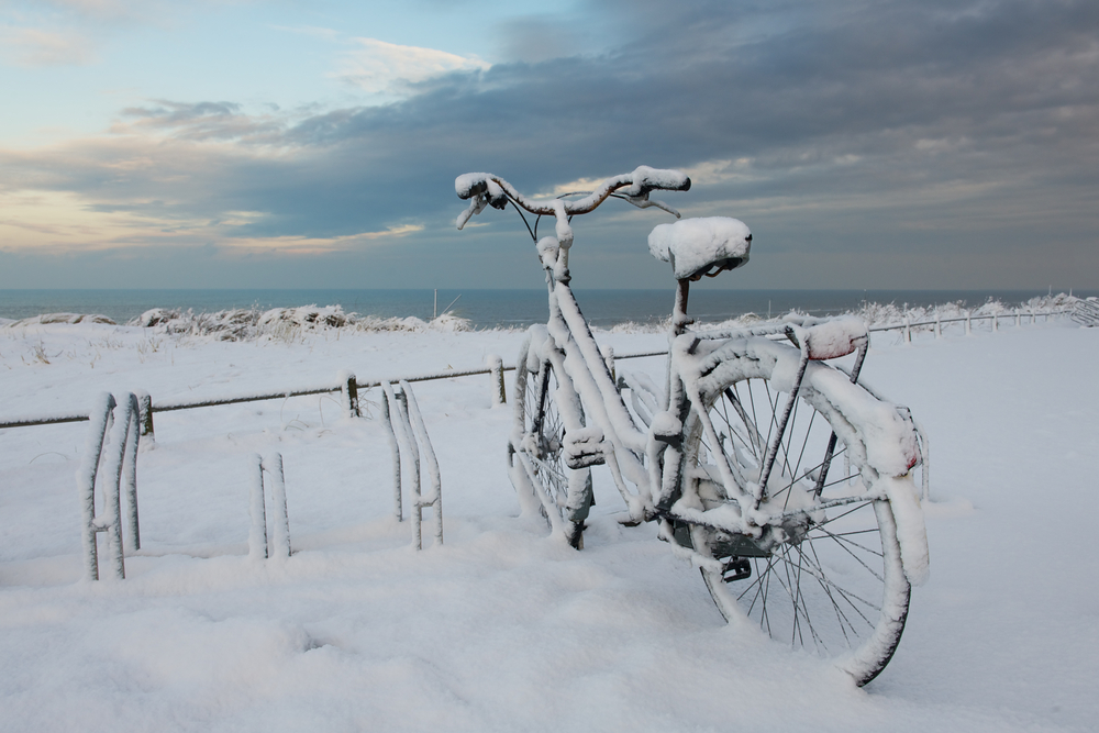 storing bicycle for winter