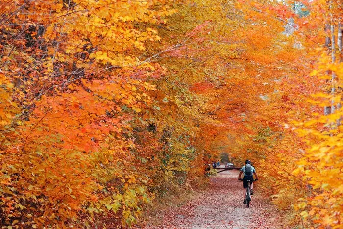 cycling in vermont foliage cycling in vermont foliage