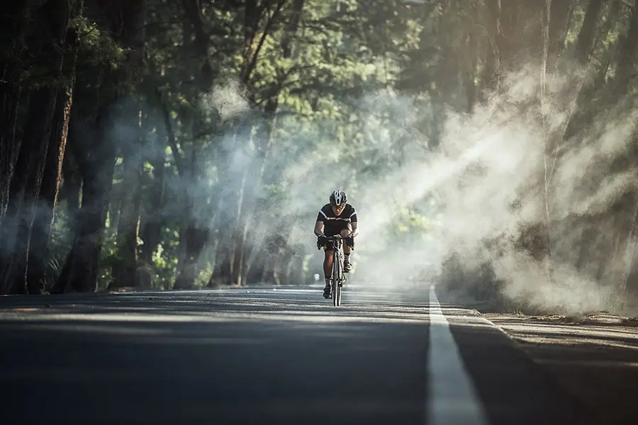 Solo road cyclist riding through morning mist on a tree-lined road at sunrise