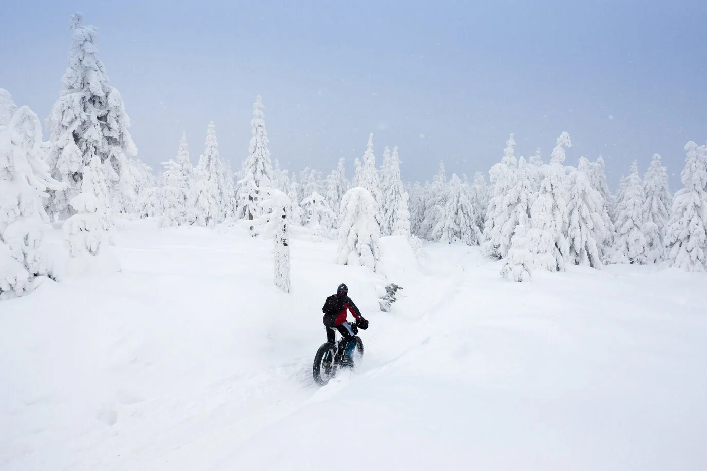 Cyclist in winter forest