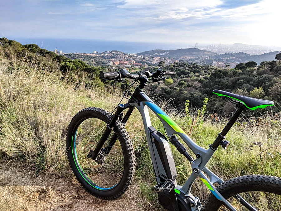 elecetric bike