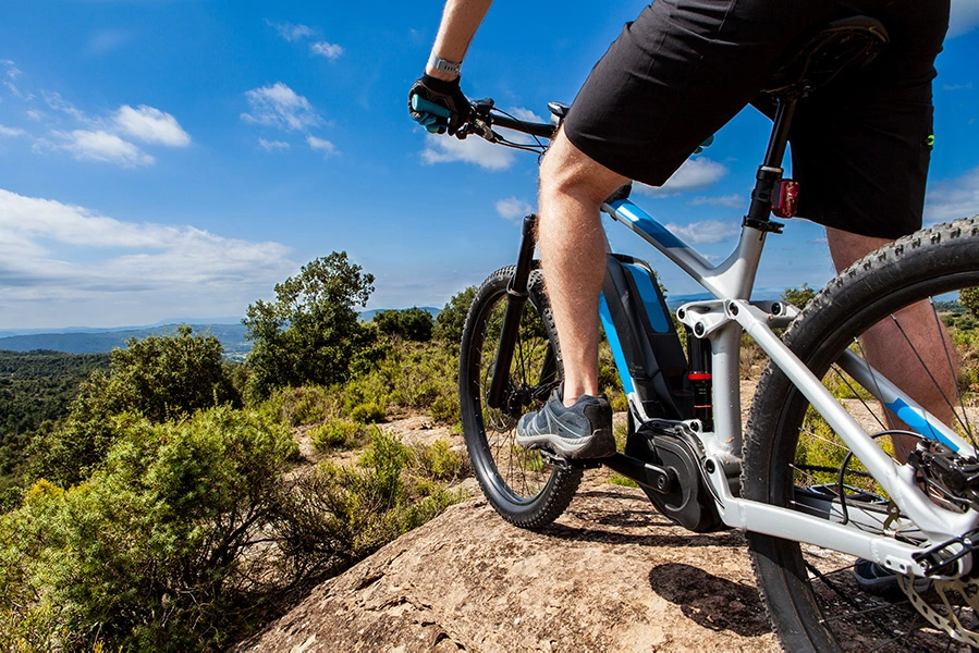 electric bike insurance