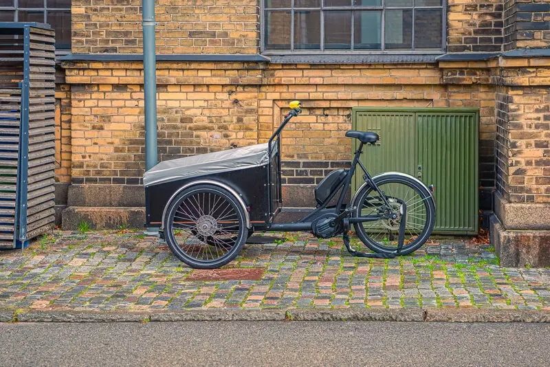 Everything you need to know about tricycles Everything you need to know about tricycles