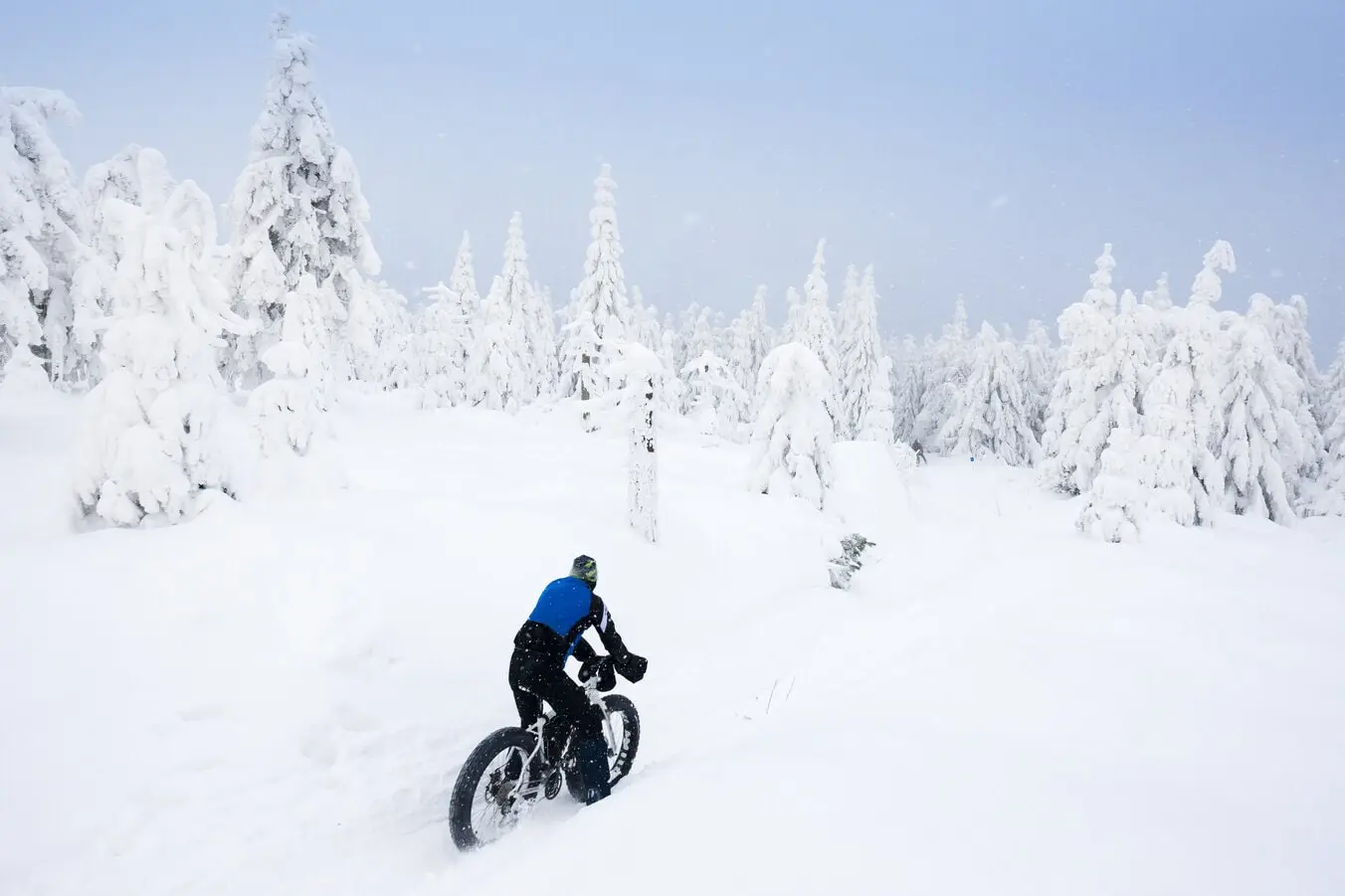 winter forest cycling