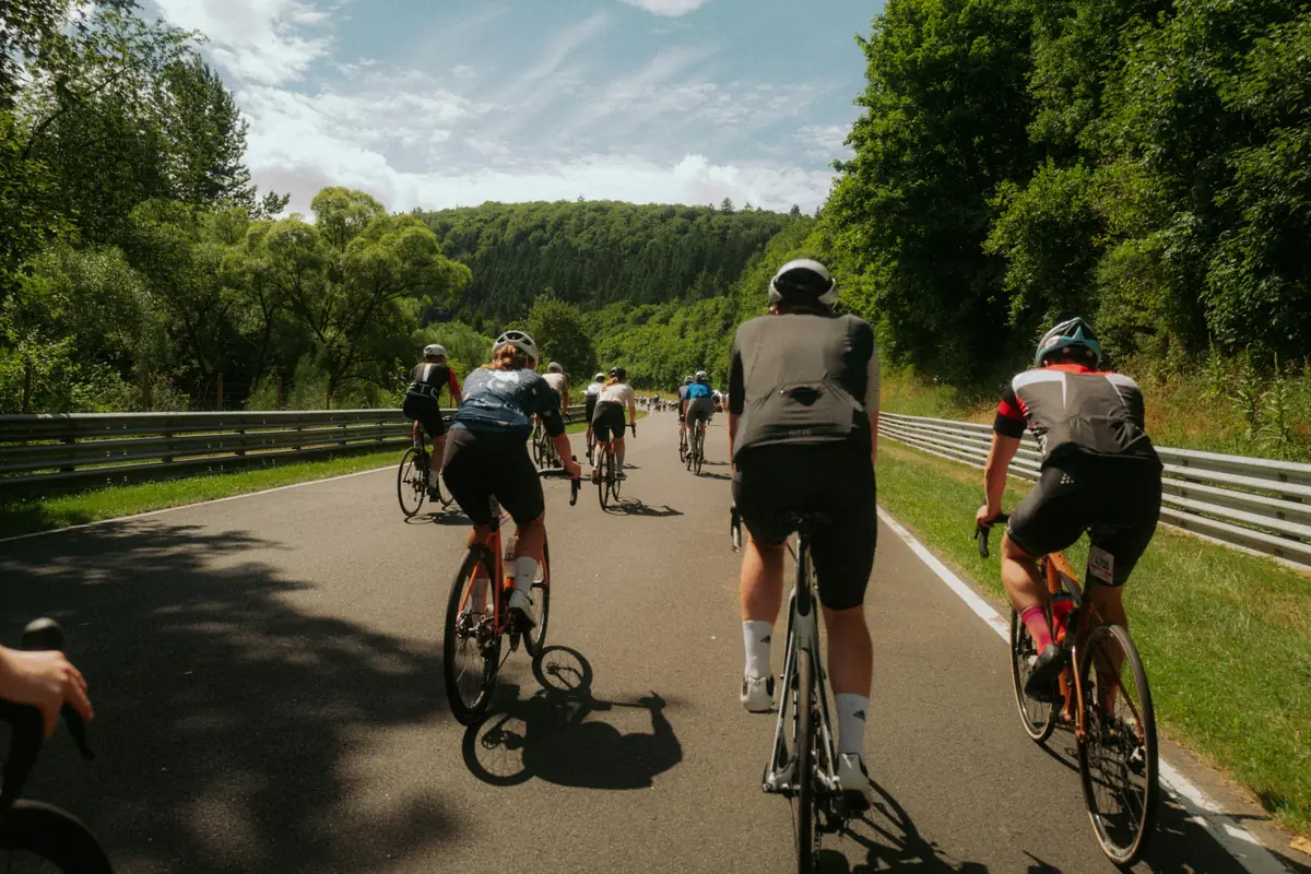 Group of road cyclists seen from behind riding a paved road through summer trees on a long ride