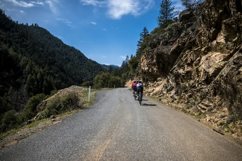 Mitochondria for Cyclists: How Your Legs Build an Engine, and How They Lose One