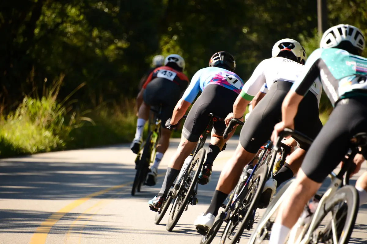 Group of road cyclists racing in a line along a sunny tree-lined road Group of road cyclists racing in a line along a sunny tree-lined road