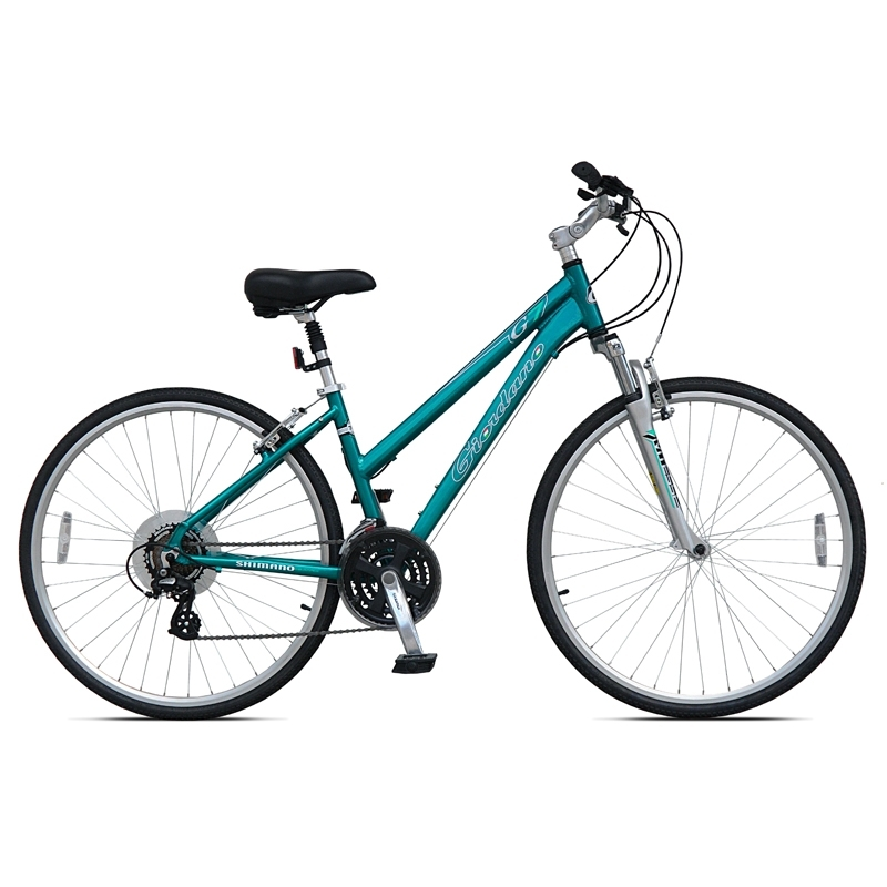 hybrid bike