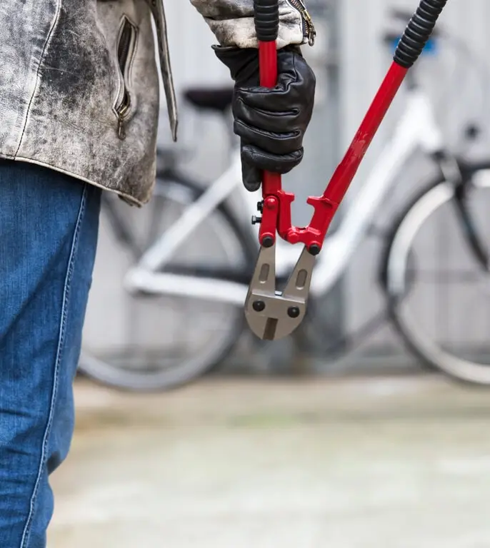 Protect your ride from theft