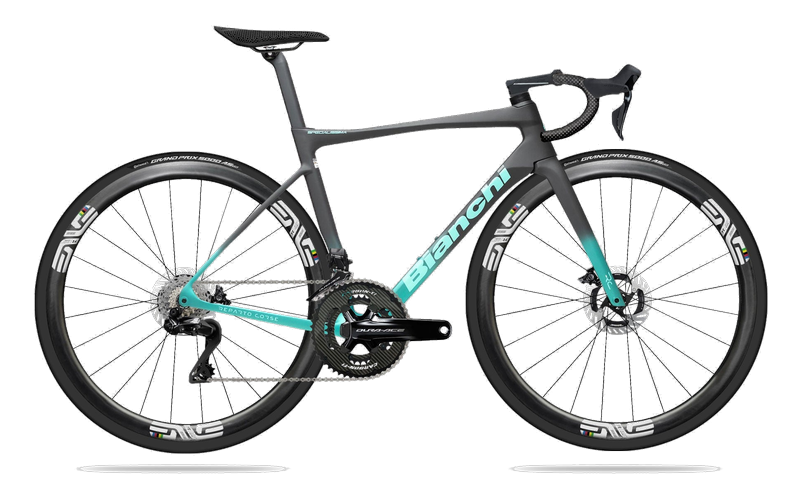 Specialissima picture