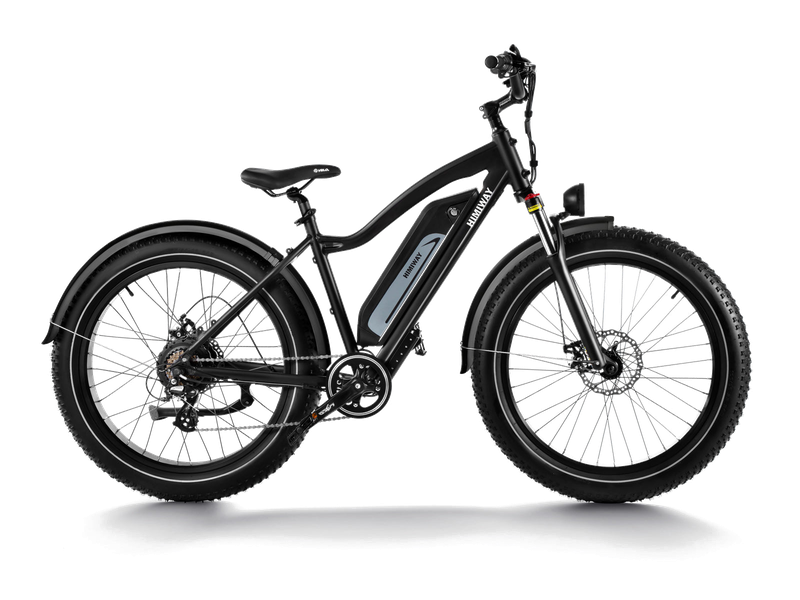 Himiway D3 Cruiser