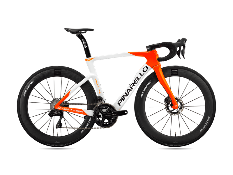 Dogma F picture