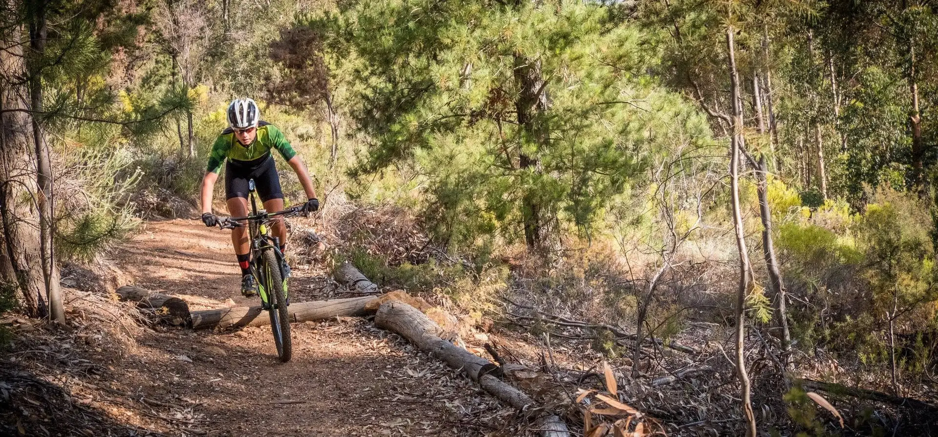 Mountain biker riding singletrack through the forest